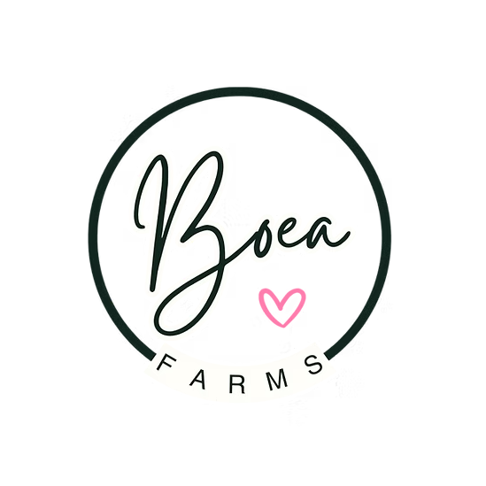 Boea Farms