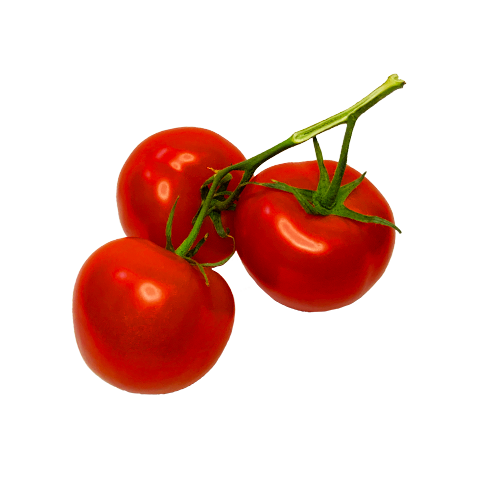 Tomatoes