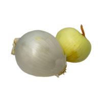 Super Onion