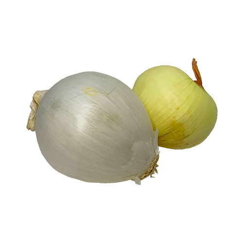 Best kind of berries