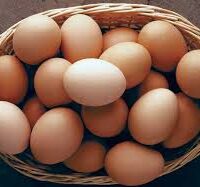 Pastured Chicken Eggs