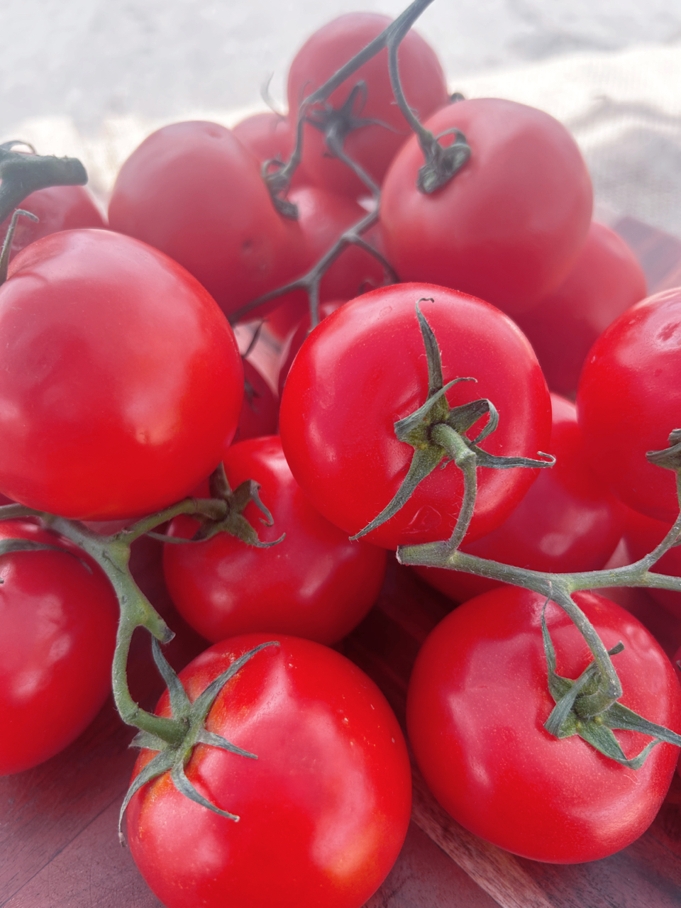 Tomatoes on the Vine