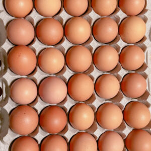 Chicken Eggs
