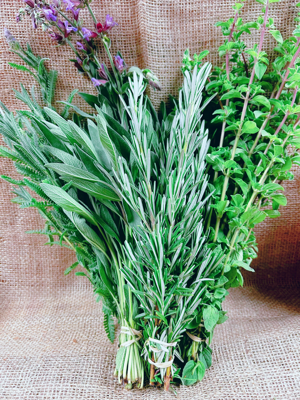 4 Herb Bundle (Mix and Match)