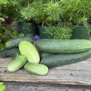 Cucumbers