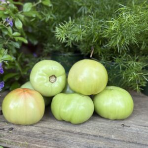 Tomatoes Green