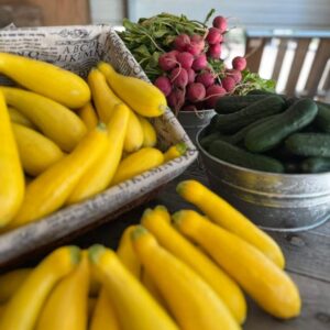 Yellow Squash