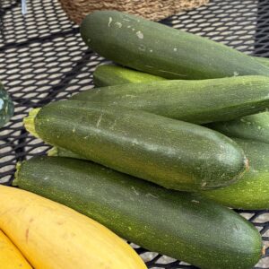 Zucchini