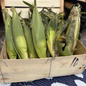 Corn