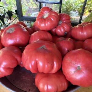 Tomatoes Heirloom