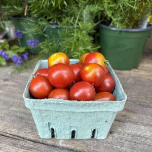 Tomatoes Cherry Sweet 100