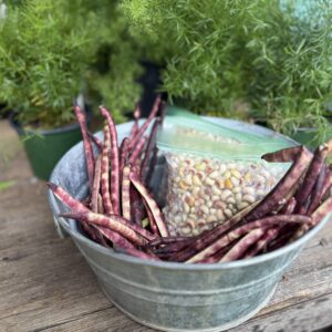 Purple Hull Peas