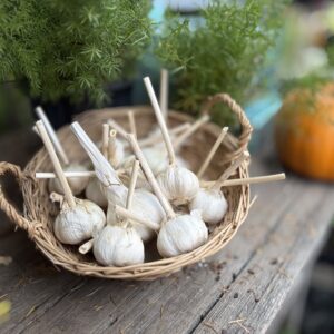Garlic - Whole Cloves