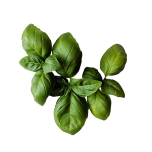 June-OCTOBER Produce & Flower Share- 20 PAYMENTS