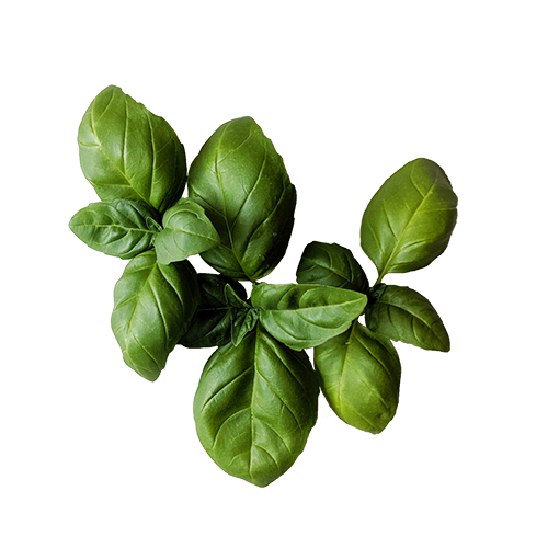 June-OCTOBER Produce & Flower Share- 20 PAYMENTS