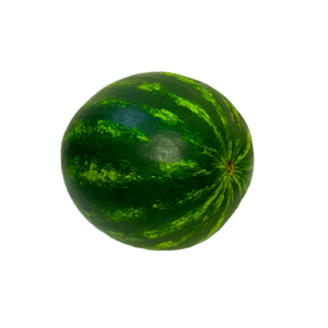 June-OCTOBER Produce & Flower Share-10 PAYMENTS