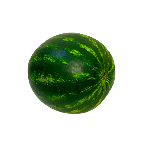 June-OCTOBER Produce & Flower Share-10 PAYMENTS