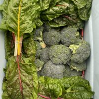 June-NOVEMBER Veggies & Flowers Share- 20 PAYMENTS