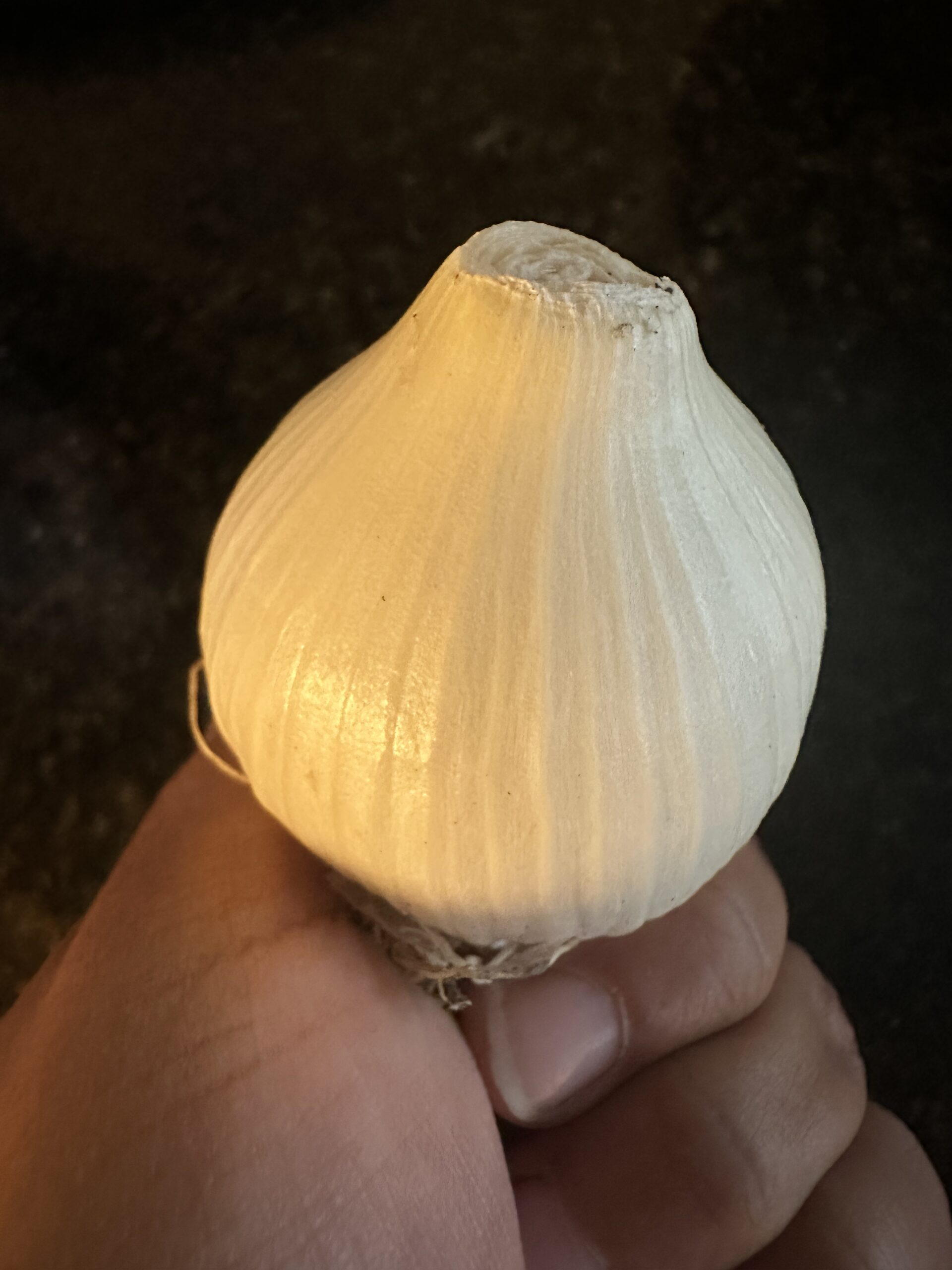 ADD-ON-Garlic