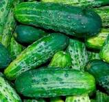 Pickling Cucumbers