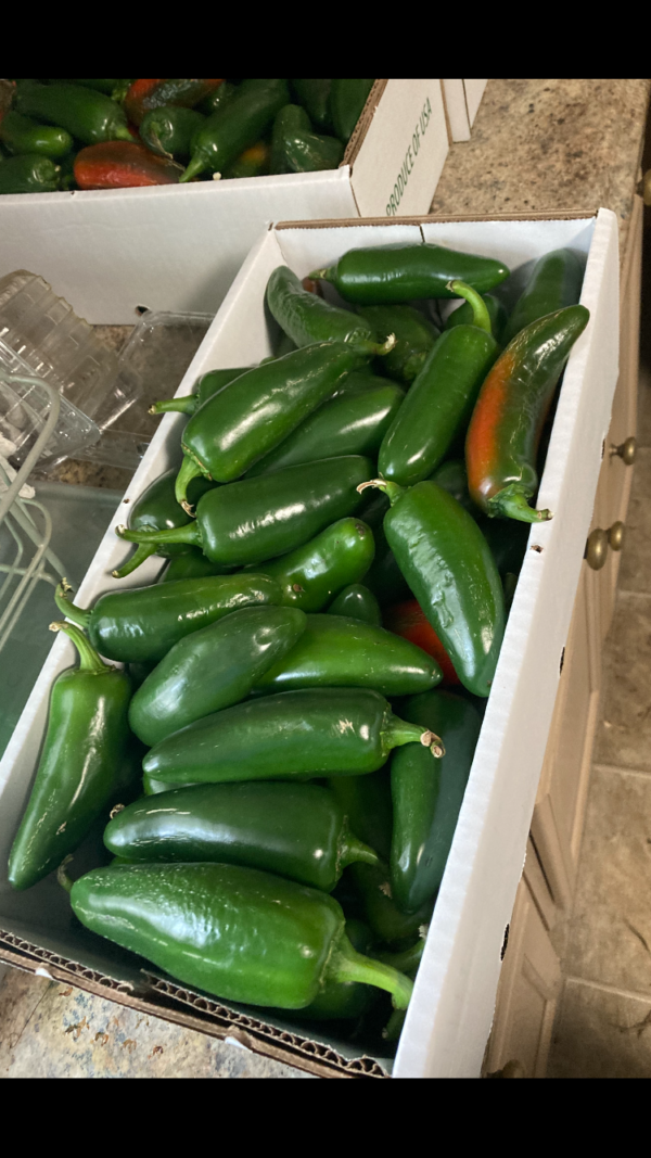 Jalapeno Peppers