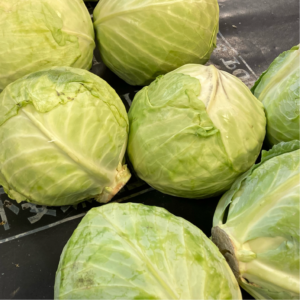 Cabbage