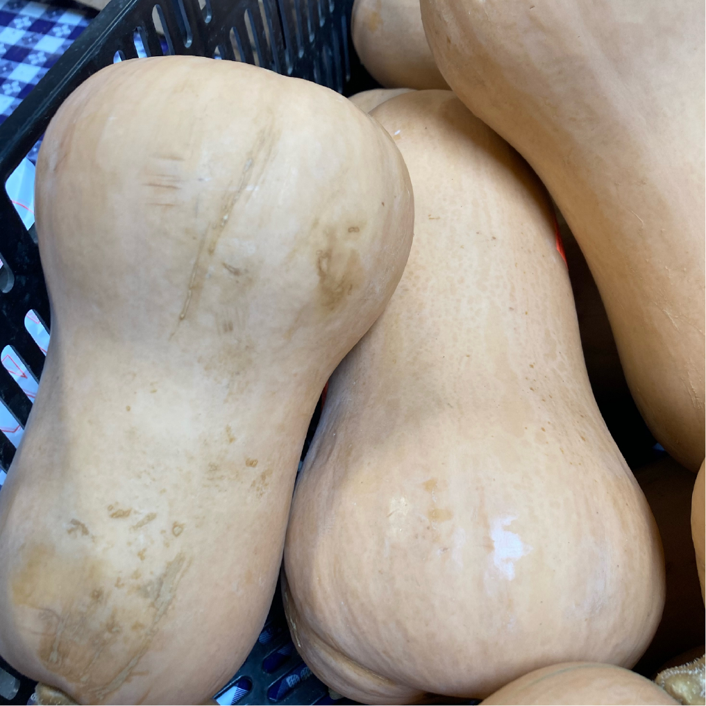 Butternut Squash
