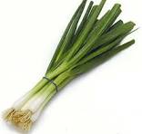 Kentucky Grown Green Onions