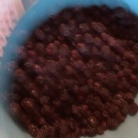 Fresh Blackberries
