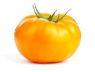 Kentucky Grown Yellow Tomatoes