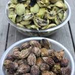 Kentucky Grown Butternuts
