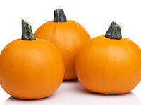 Kentucky Grown Pie Pumpkins