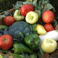 CSA Member: One Time Delivery