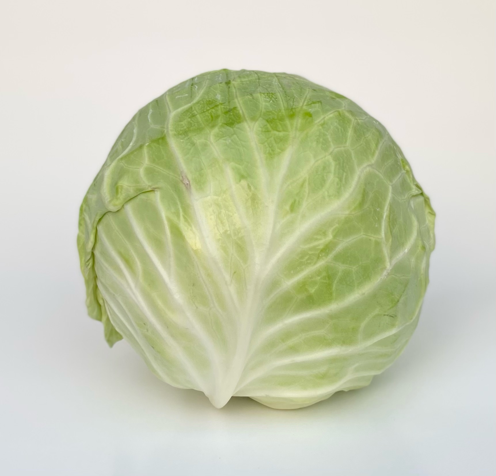 Cabbage