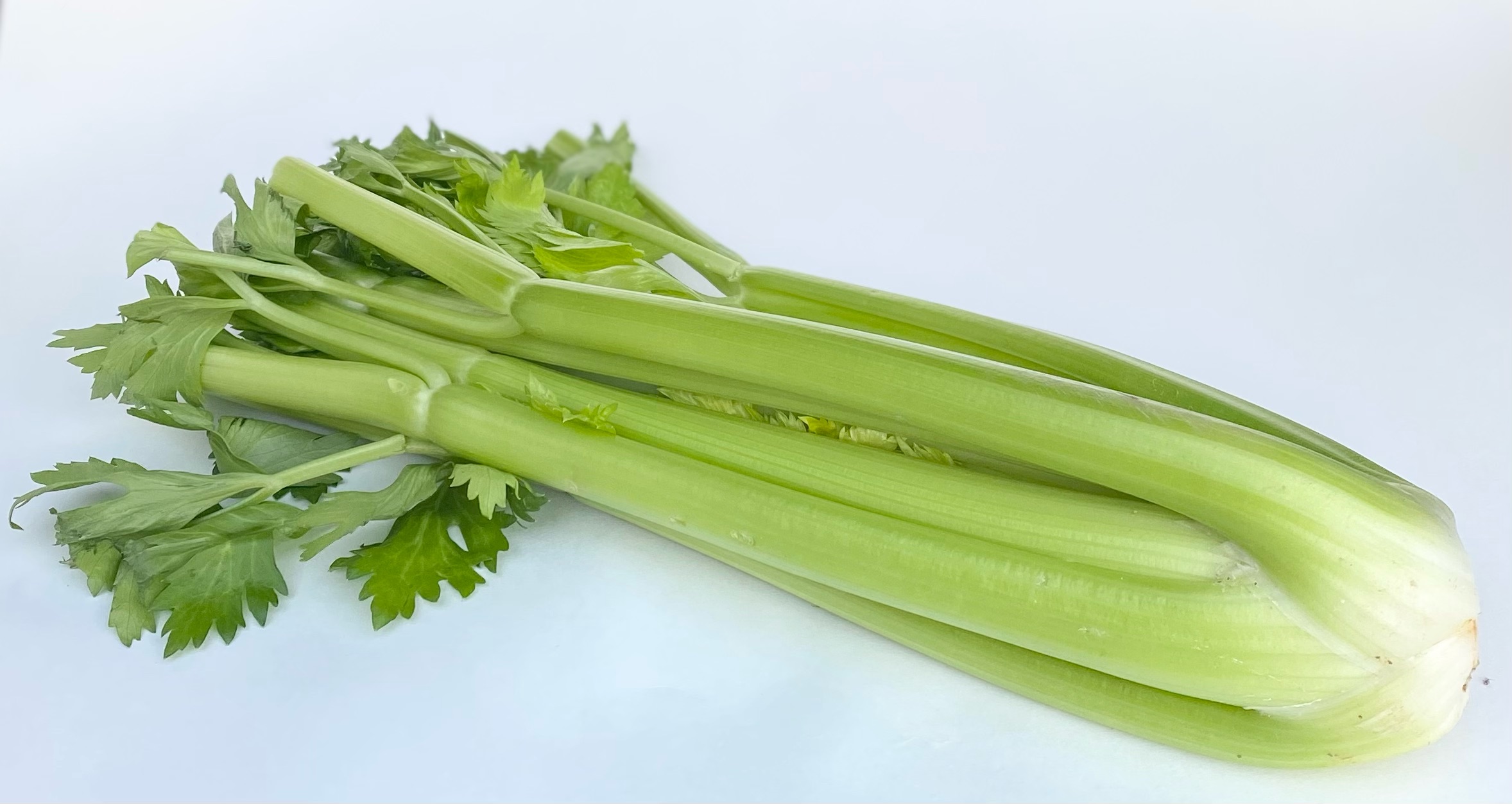 Celery