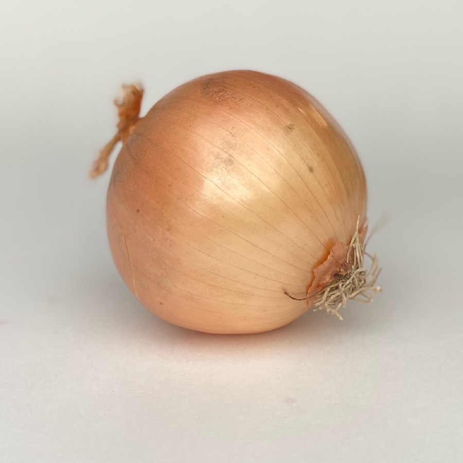 Yellow Onion