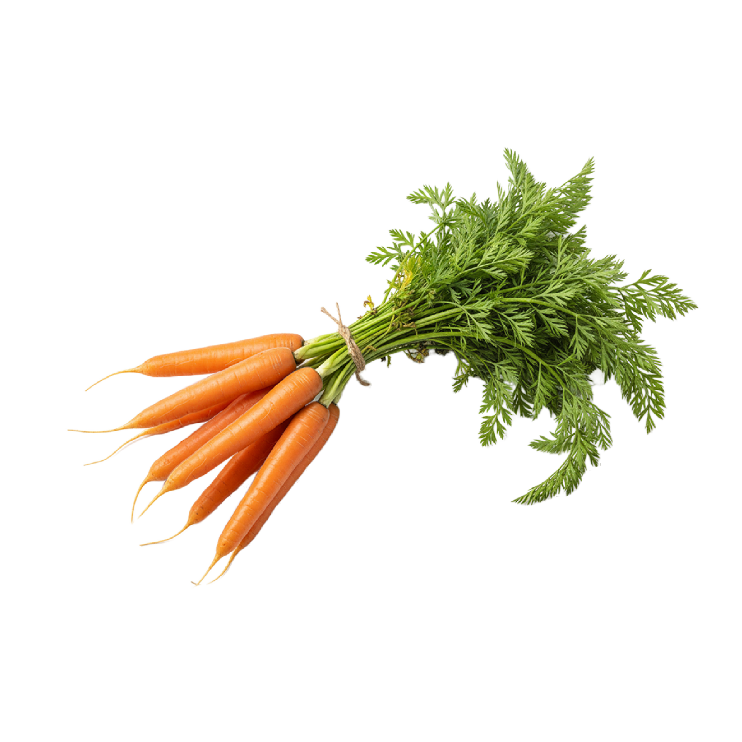 Carrots