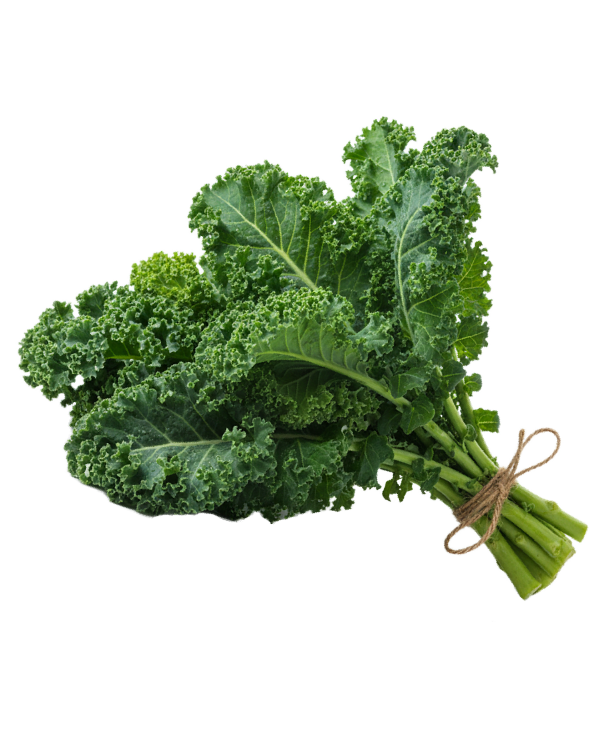 Bunch of fresh kale