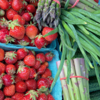 A Kentucky Proud Christmas!!!!